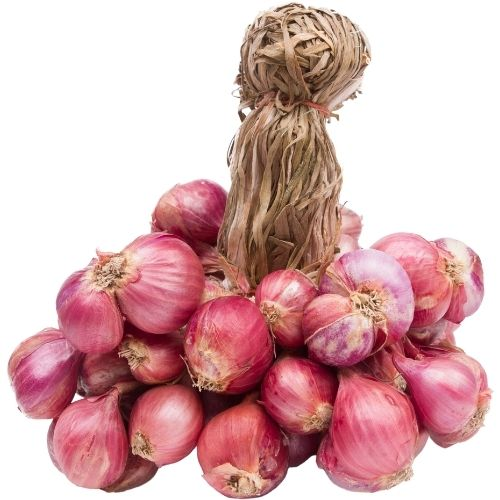 Cebollitas Ocañeras